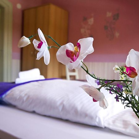Hotel Neun 3/4 Celle Zewnętrze zdjęcie